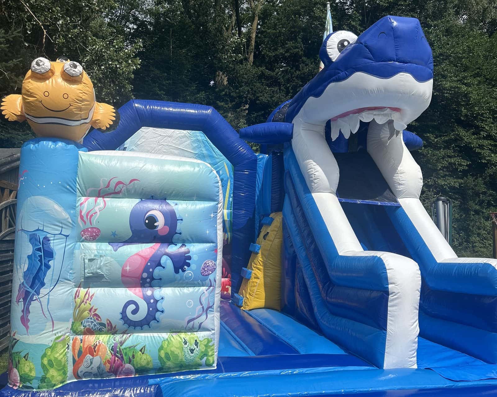 Blaue Hai-Hüpfburg mit Rutsche, Clownfisch und Seepferdchen-Motiv auf einer Wiese